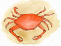 Painting of a crab
